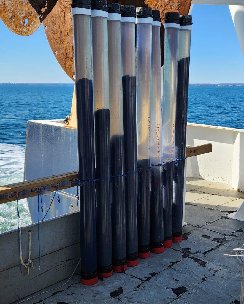 Long Island Sound sediment cores collected by the Lamont team